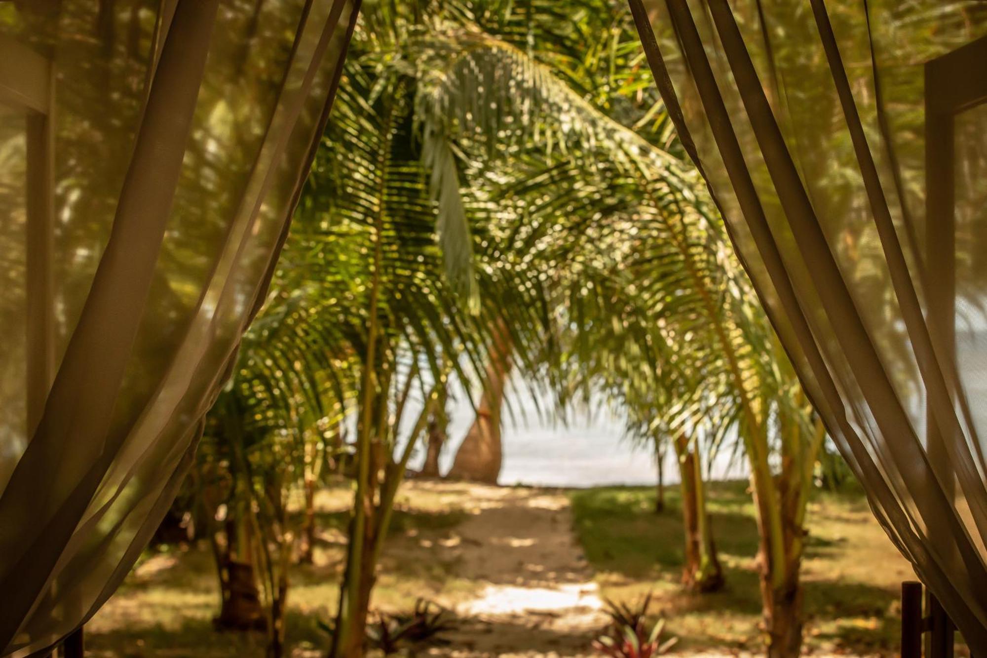 The Beach House Ocam Ocam Busuanga Luaran gambar